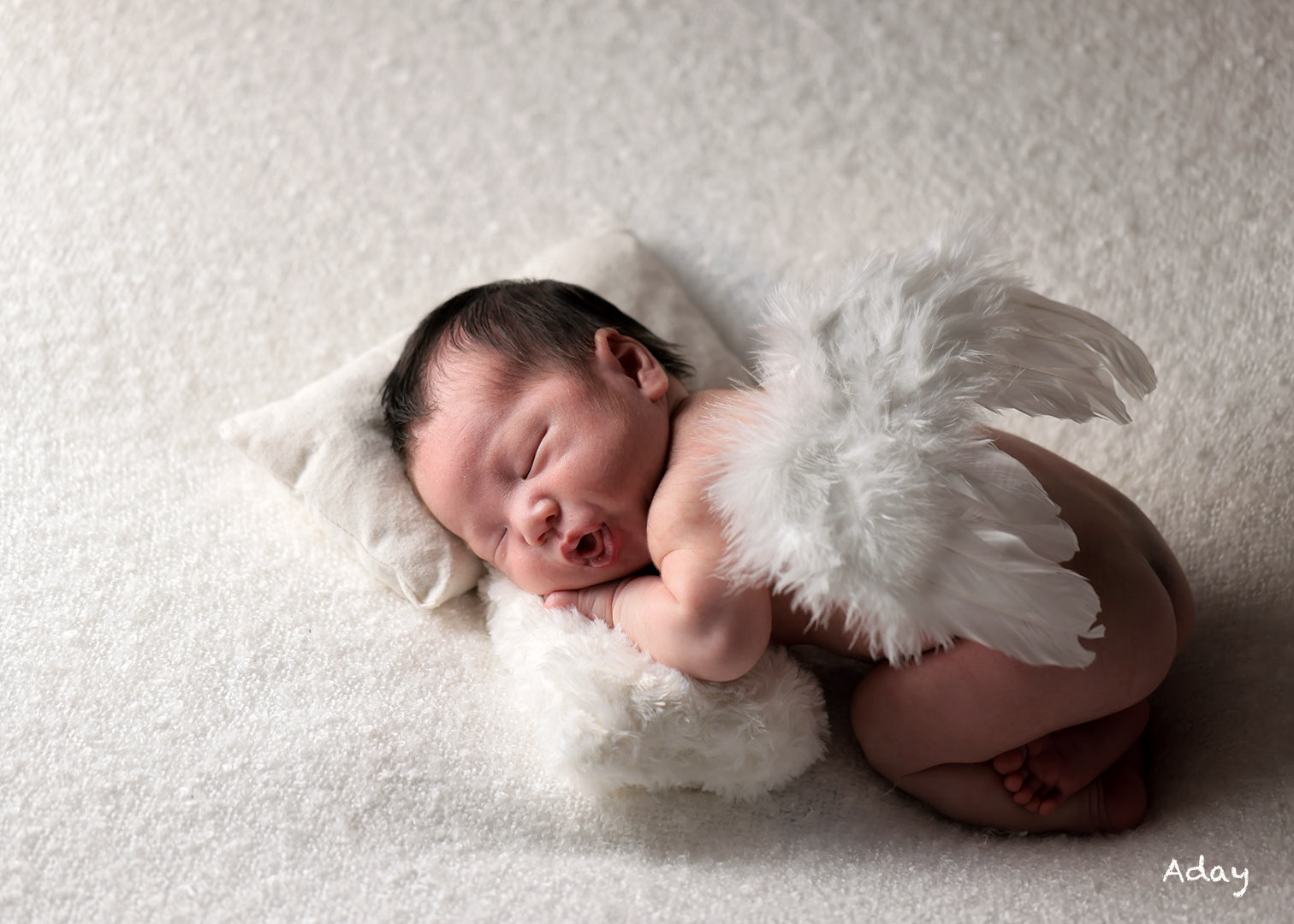 オシャレなニューボーンフォトなら フォトアトリエ アディで 石川県金沢市 能美市の写真館フォトアトリエアディ